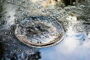 Wasser Ringe Oberfläche Spiegelung Wellen Stein konzentrisch Brechung Sonne Reflektion Licht...