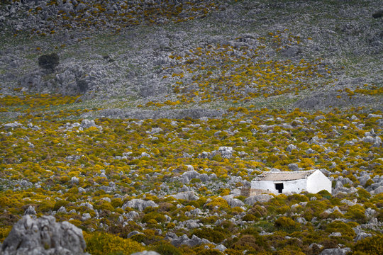 Casa en la monta&ntilde;a