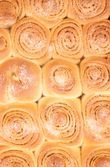 Freshly baked traditional sweet cinnamon rolls, swirl