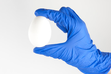 egg in the scientist's hand, against white wall background