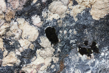 texture of stone