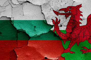 flags of Bulgaria and Wales painted on cracked wall