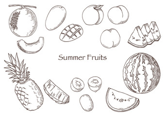 vector illustration of summer fruits（drawing）