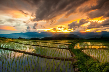 Beautiful landscape view of rice terraces and cottages in the rainy season at sunset and mountain in the background,Pa bong Pieng,Mae Jam, ChiangMai,Thailand