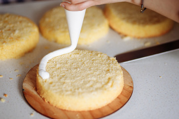 The process of making a cake. Applying the cream on the cake. Homemade cake on a birthday or a wedding. Close up. Series