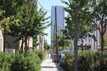 La rue Albert Jacquard, rue bordée d'arbres et d'immeubles modernes dans le quartier de la...