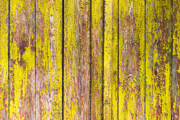 Fototapeta na wymiar Yellow old wooden texture with vertical boards