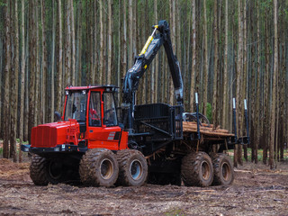 Logging Equipment Forest Machine - obrazy, fototapety, plakaty