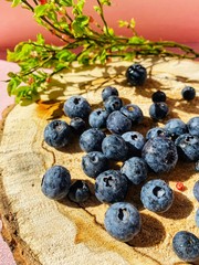 Blueberries on wooden background