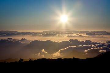Teide National Park Sunset, Tenerife. The sun sets on the clouds over the horizon, silhouettes of pine trees and mountains