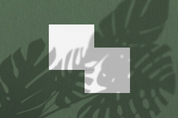 Business card Mockup. Natural overlay lighting shadows the monstera leaves. Square business cards. Scene of Leaf Shadows on green background.