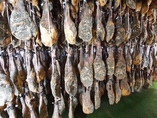 bodega de jamones ibéricos