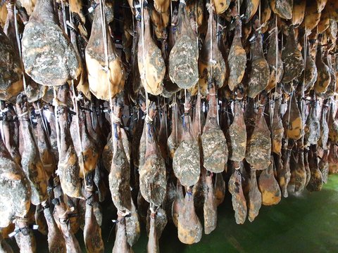 bodega de jamones ib&eacute;ricos