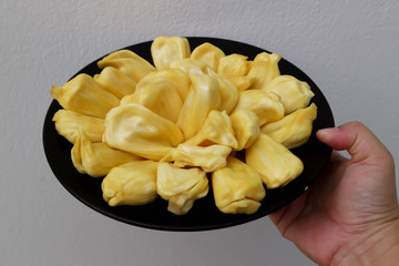 jack fruit, artocarpus heterophyllus