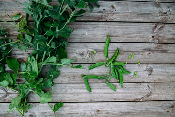 Green young peas on a wooden background