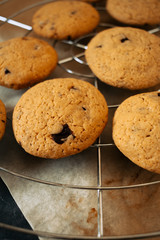 Homemade chocolate cookies resting on an oven rack.