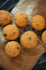 Homemade chocolate cookies resting on an oven rack.