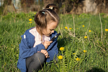 little girl looks in a magnifier at plants on nature in summer