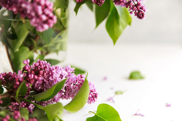 Bouquet of pink lilac in a in a transparent glass vase or can on a light background. Spring concept