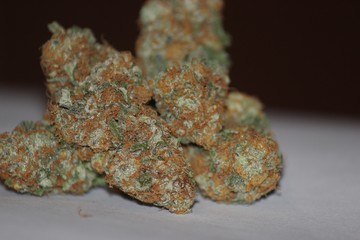 High-grade Marijuana close up  