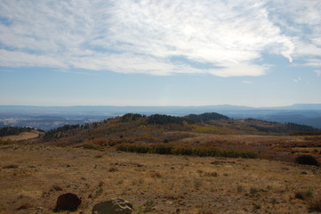 forest landscape with Grand Staircase 