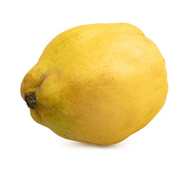 Fresh quince on white background