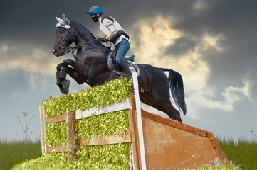 equestrian rider jumping over an a brush fence obstacle