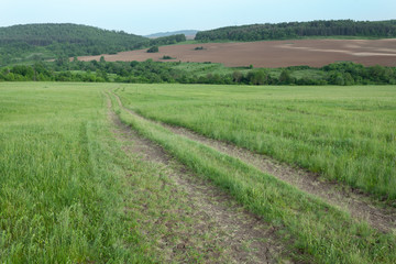 A rural landscape during spring