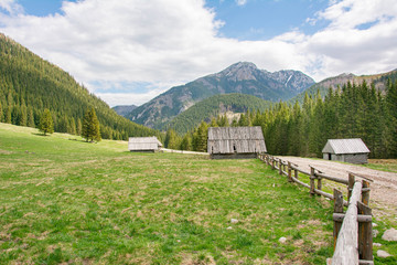 Polana Chochołowska © RASSUMSEN