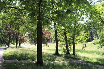 Le parc du vallon, jardin public dans le quartier de la Duchère à Lyon - Ville de Lyon - 9 ème arrondissement - Département du Rhône - France