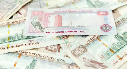 UAE dirhams, banknotes, closeup view	