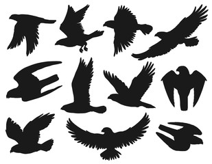 Eagles and hawks black silhouettes set, vector wild flying birds outspread wings, swoop down to catch prey, hunting. Heraldic eagles with attacking claws, american patriotic symbols, monochrome emblem