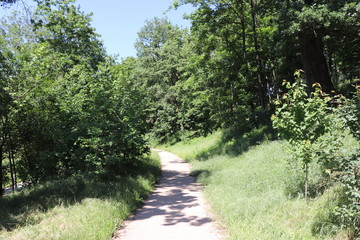 Le parc du vallon, jardin public dans le quartier de la Duchère à Lyon - Ville de Lyon - 9 ème arrondissement - Département du Rhône - France