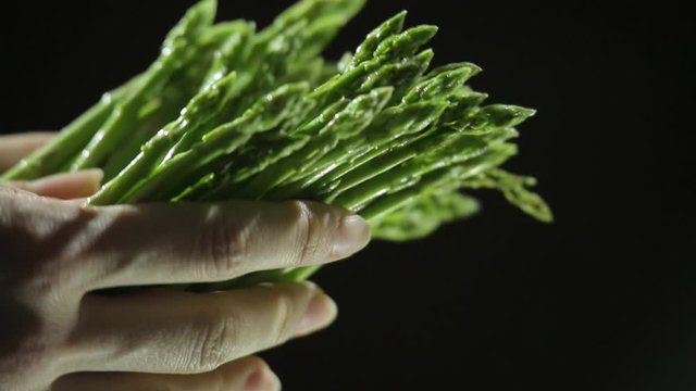 uncooked asparagus in the hands of a young woman in bright studio lighting