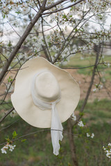 the hat is hanging on a tree in the garden