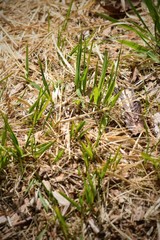 Krafttanken im Hechtmoor - Mai 2020