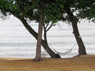 Hammocks between trees on relaxing Malaysia Beach