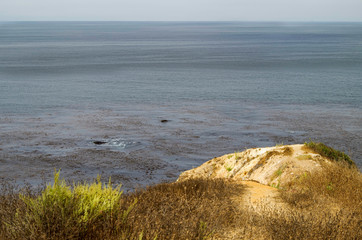 Breathtaking scenic and landscape view of coastline of Rancho Palos Verdes with vegetation and...