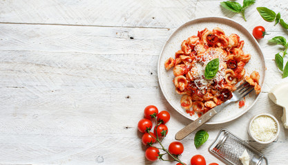 South italian  pasta orecchiette with tomato sauce and cacioricotta cheese