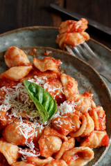 South italian  pasta orecchiette with tomato sauce and cacioricotta cheese