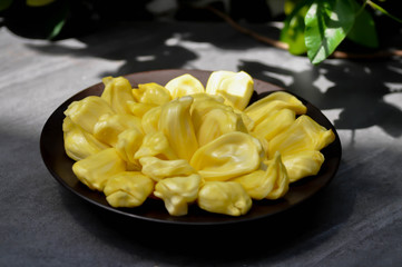 jack fruit , artocarpus heterophyllus