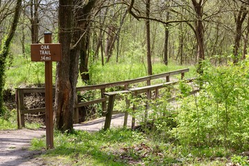 The beginning of the hiking trail in the spring forest.