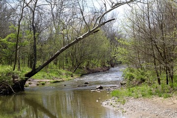 The flowing water of the creek in the forest.