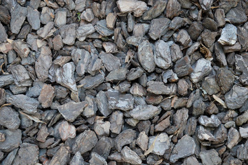 Texture of pine bark for mulching  flower beds