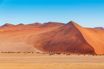 Fototapeta na wymiar Die riesigen Sanddünden der Wüste Namib