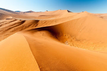 Fototapeta na wymiar Die riesigen Sanddünden der Wüste Namib