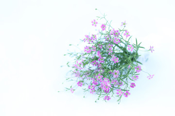 Obraz na płótnie Canvas ピンクのカスミソウの花束