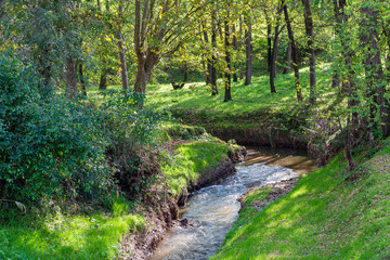 Torrent that crosses the forest that borders the Gurri river as it passes through Vic, Osona, Catalonia, Spain