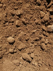 Tierra seca