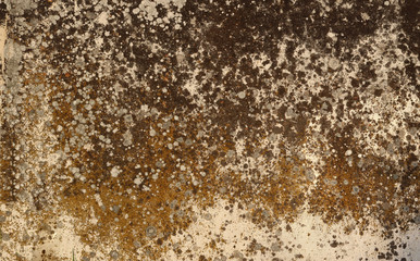 Irregular weathered granite stone wall surface with moisture and lichen texture making an abstract effect- dirty pattern background for a wallpaper